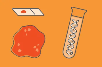 F1H_03_Heme_image03-01 (1).png