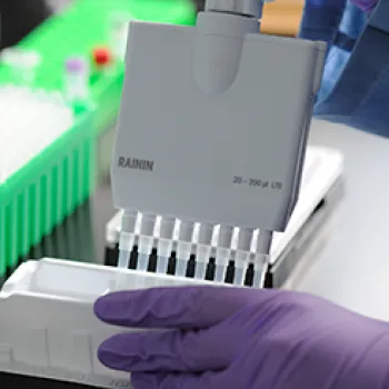 Foundation Medicine Lab Work